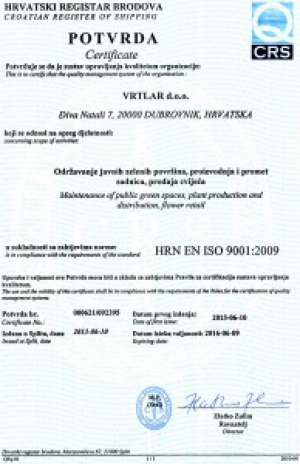 Iso Standard 10.06.2013.