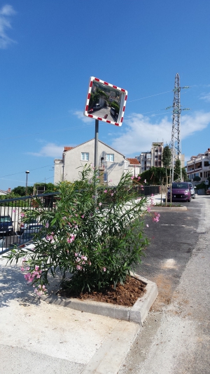 Zavrseno hortikulturno uredenje novih povr&scaron;ina u ulici Stjepana Cvijića